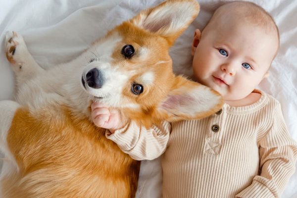 baby-with-dog