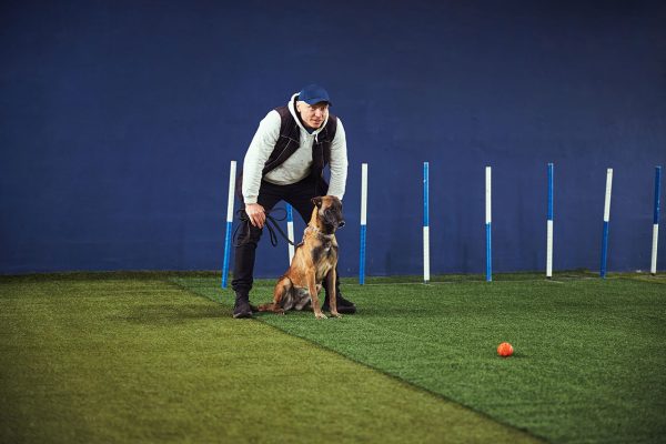 professional-dog-handler-training